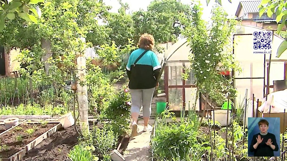 В челябинском СНТ «Металлург» собаки разодрали кота