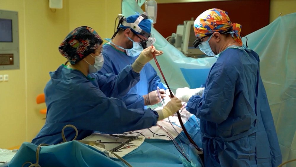 Действительно ли зелёный чай обладает жиросжигающими свойствами