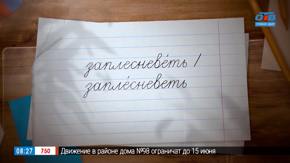 Не дадим еде заплесневеть в рубрике «Простые правила»