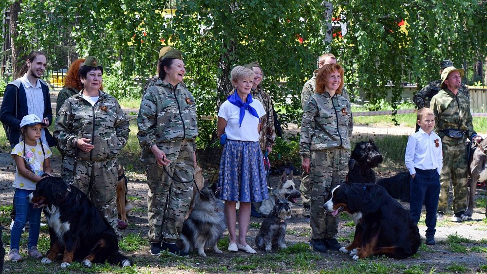Хвостатые артисты показали, как собаки помогали солдатам в войне