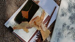 В Челябинске устроят танцевальный перформанс в городском бору