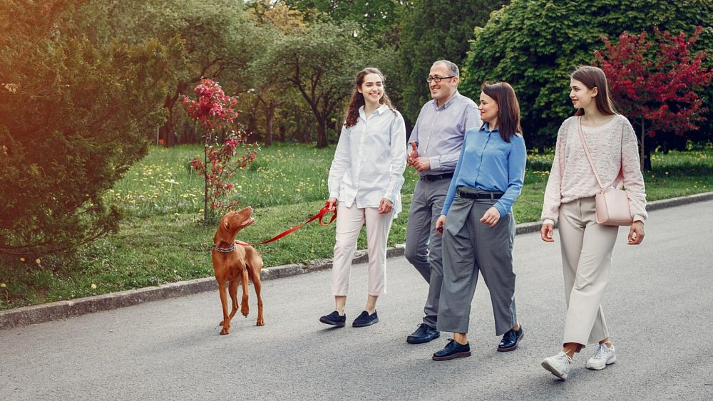 Всесторонне оздоравливает организм ходьба