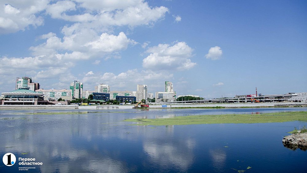 Депутаты Челябинской думы предложили централизировать власть в городе