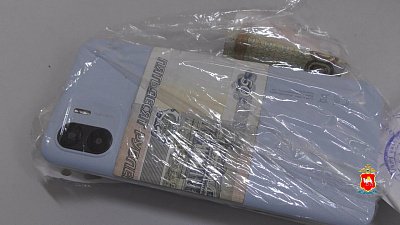 В Челябинске задержали уличного грабителя