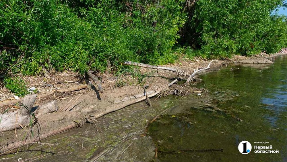 Со дна карьера в Челябинской области достали тело утонувшего во время купания мужчины