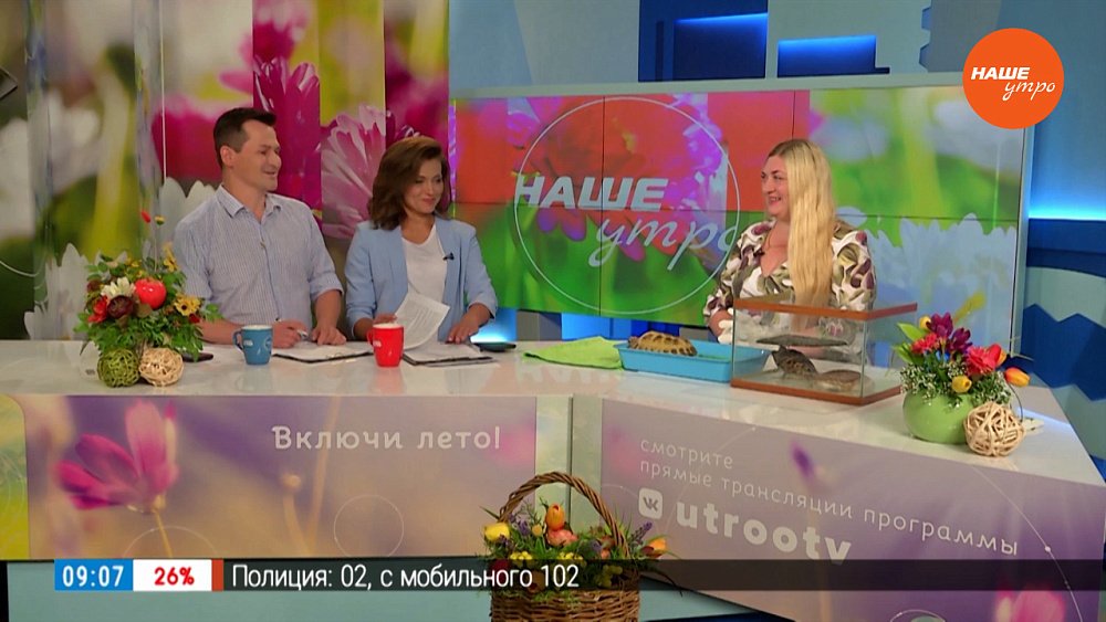 Черепаха — друг человека? — Гость в студии