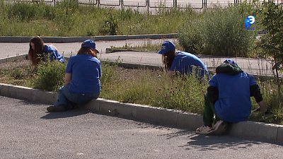 «Их труд — крут!»: в Миассе начали работу трудовые отряды