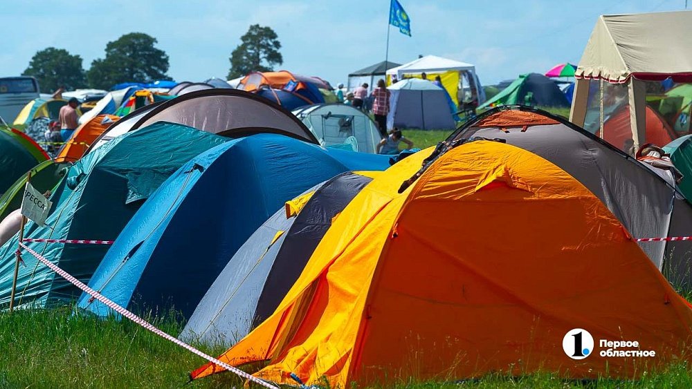 В палаточные лагеря Челябинской области возьмут только с прививкой от энцефалита