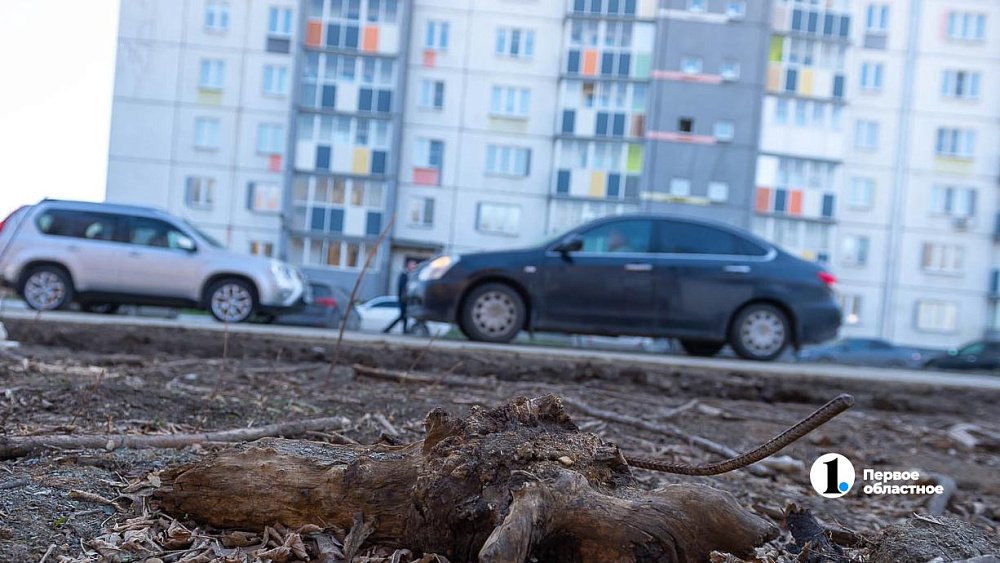Мэрия Челябинска поддержит жалобу горожан на парковку под окнами