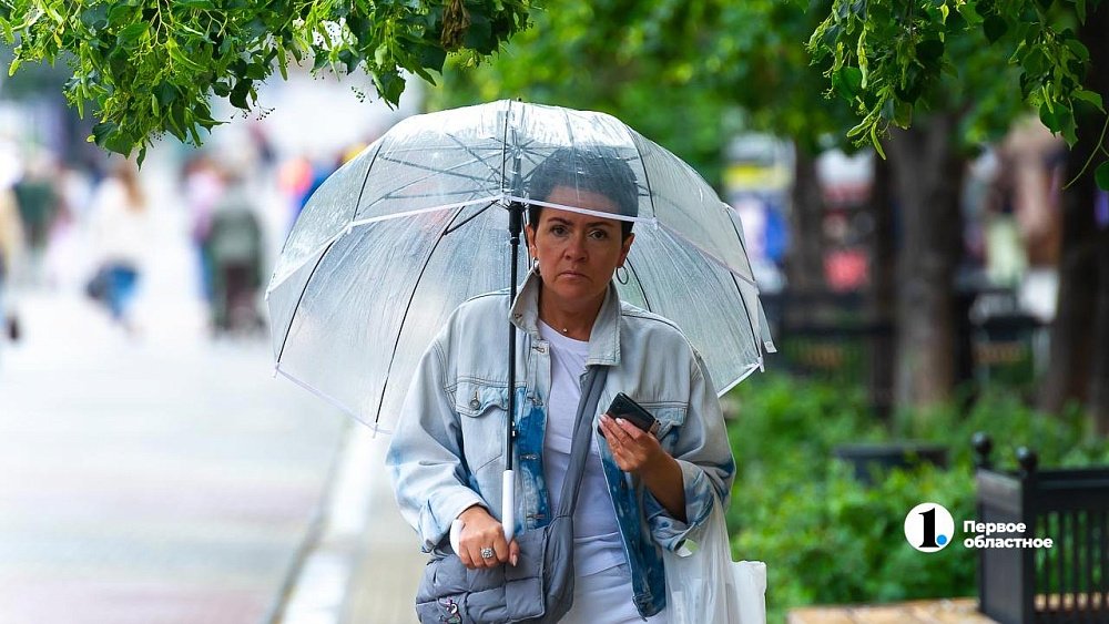 Дожди пройдут по всей Челябинской области в воскресенье