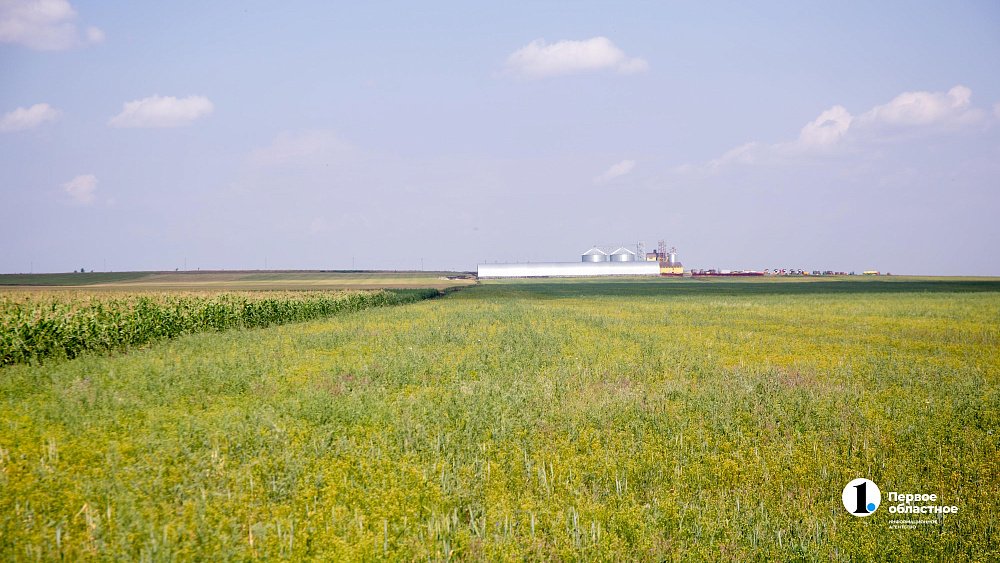 Что запрещено делать 19 июня, на Лариона Пропольника