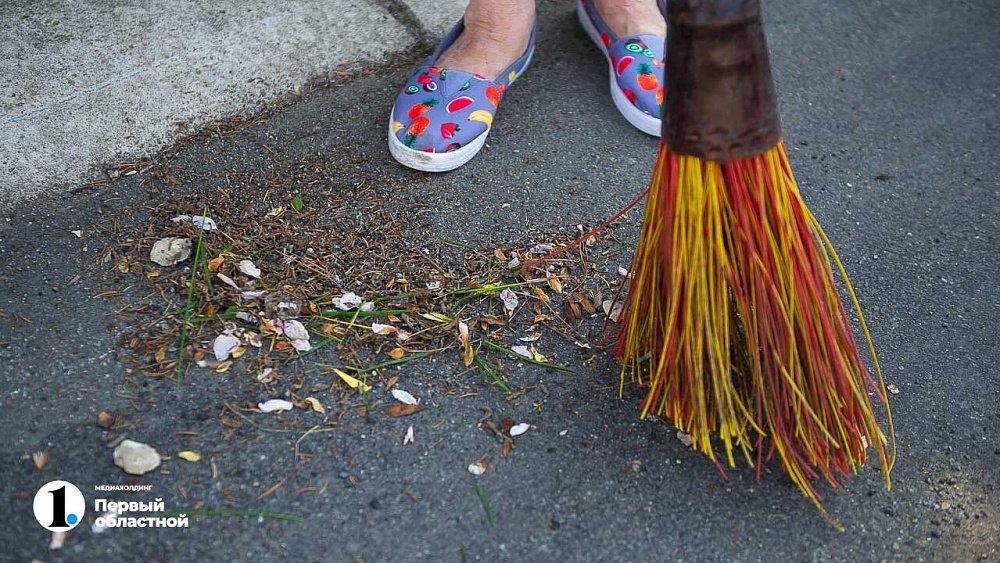 Переплаты и пробелы в законе: почему садоводы Челябинской области уклоняются от вывоза мусора
