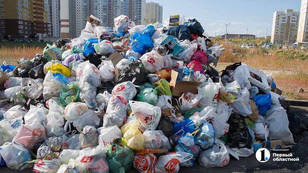 Челябинскую область признали лидером по числу ликвидированных свалок