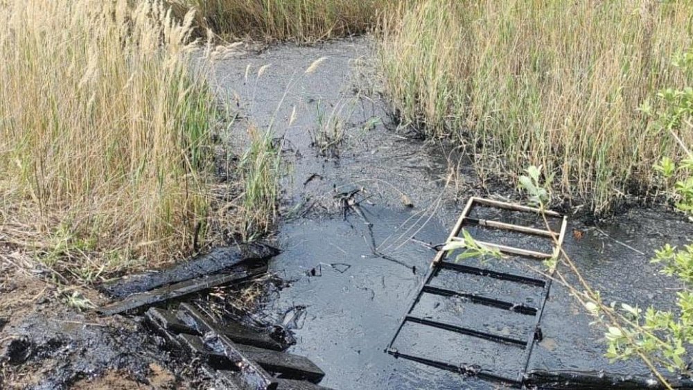 Мэрия Троицка ликвидирует битумное озеро, где чуть не утонули женщина с козой