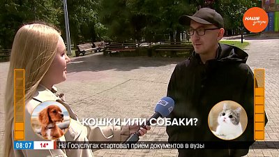 Челябинцы ответили, на чьей они стороне, в опросе «Кошки или собаки?»