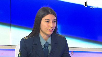 Чтобы отпуск не закончился на границе. Рекомендации таможни в программе «Есть вопрос»