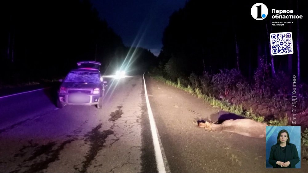 На трассе М-5 произошло смертельное ДТП