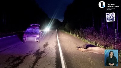 На трассе М-5 произошло смертельное ДТП