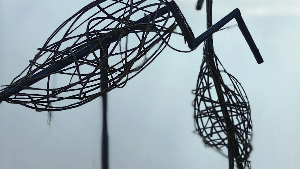 На набережной Смолино появились журавли