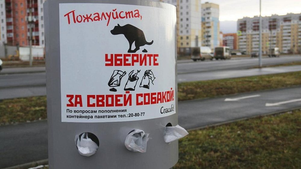 В Магнитогорске установят 44 дог‑бокса с бесплатными пакетиками для выгула собак