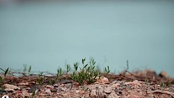 Чадивший Коркинский разрез превратится в место для отдыха