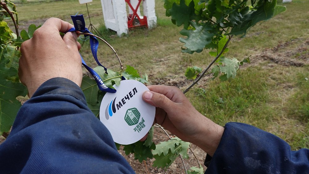 ЧМК высадил 20 дубов в честь 20‑летия «Мечела»