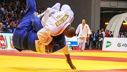 И тут тигр становится Жориком: ретроспектива чемпионата мира — 2014 по дзюдо в Челябинске