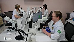 В Челябинске областная больница №3 ускорила оказание экстренной помощи пациентам