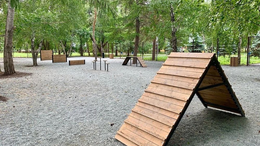 В челябинском Саду Победы открыли площадку для выгула собак