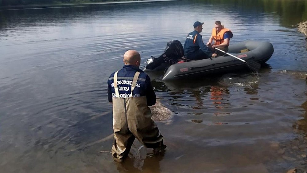В Челябинской области спасатели достали из воды тушу погибшего лося