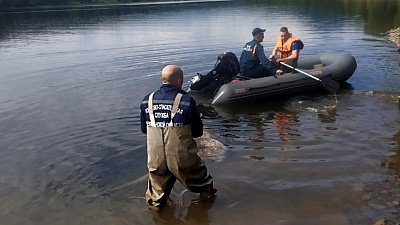 В Челябинской области спасатели достали из воды тушу погибшего лося