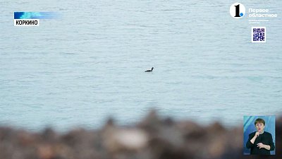 Коркинский разрез наладил систему водооборота с Томинским ГОКом