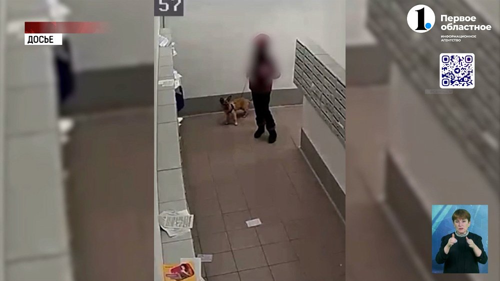 Живодерку отправили на принудительное лечение