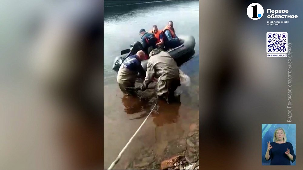 Из реки в Златоусте достали мертвого лося