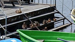 Озера Южного Урала в условиях особой охраны принимают за сезон тысячи отдыхающих