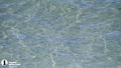 Озера Южного Урала в условиях особой охраны принимают за сезон тысячи отдыхающих