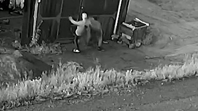 В Миассе неизвестные напали на ворота частного дома