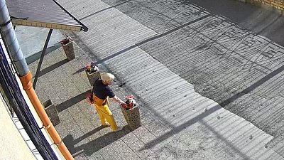 В Магнитогорске неизвестная вырвала цветы из клумбы