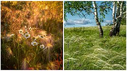 Фотограф из Луганской Республики воспевает южноуральскую природу в своих снимках