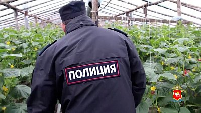 В Челябинске сотрудники Управления по вопросам миграции проверили работников тепличных хозяйств