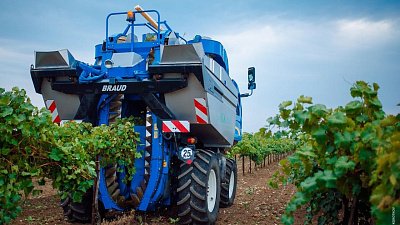 Александр Аристов о трансформации АПК и повышении престижа работы в отрасли