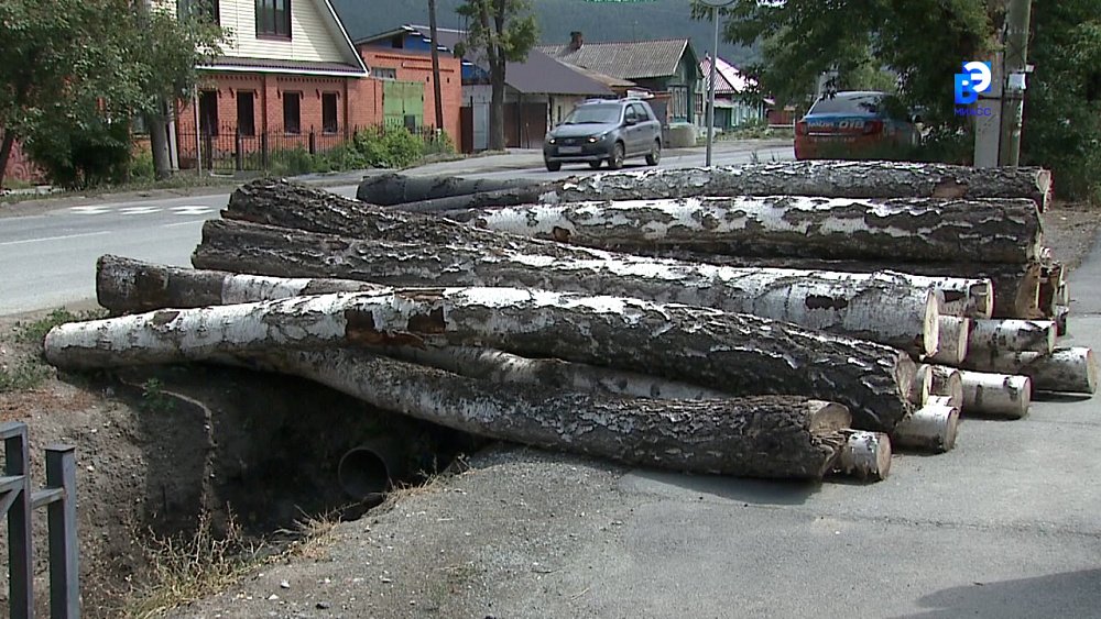 Брёвна на остановке: кто прав?