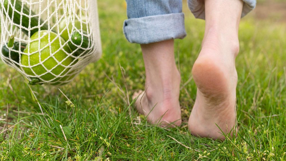 Неухоженные стопы могут стать входными воротами для инфекций