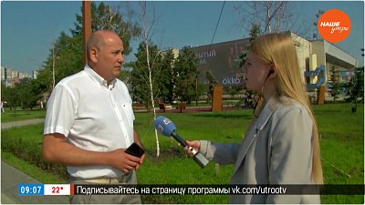 Почему погиби деревья в сквере у ДС «Юность»? — в Прямом включении