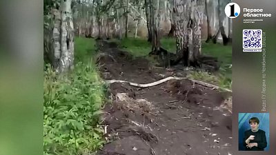 В Аргаяшском районе тушат масштабный пожар