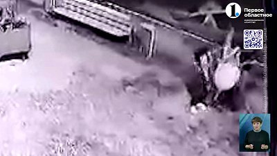 В Челябинске статую дракона вернули в Сад Победы