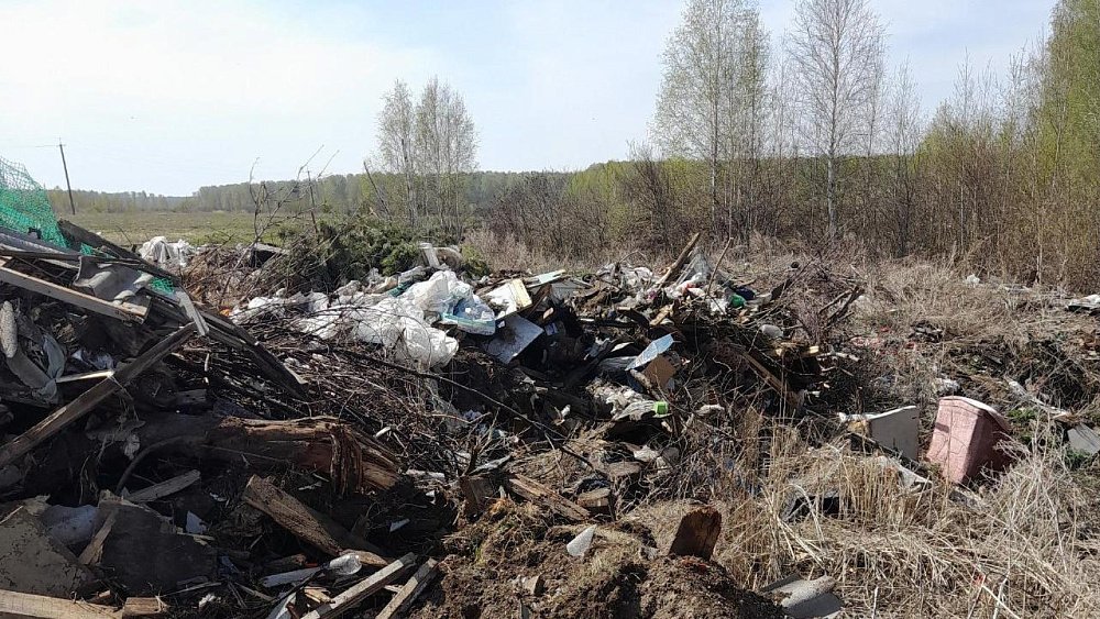 С начала года в Челябинской области ликвидировали 58 несанкционированных свалок