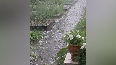 В Челябинске градом уничтожен урожай садовов