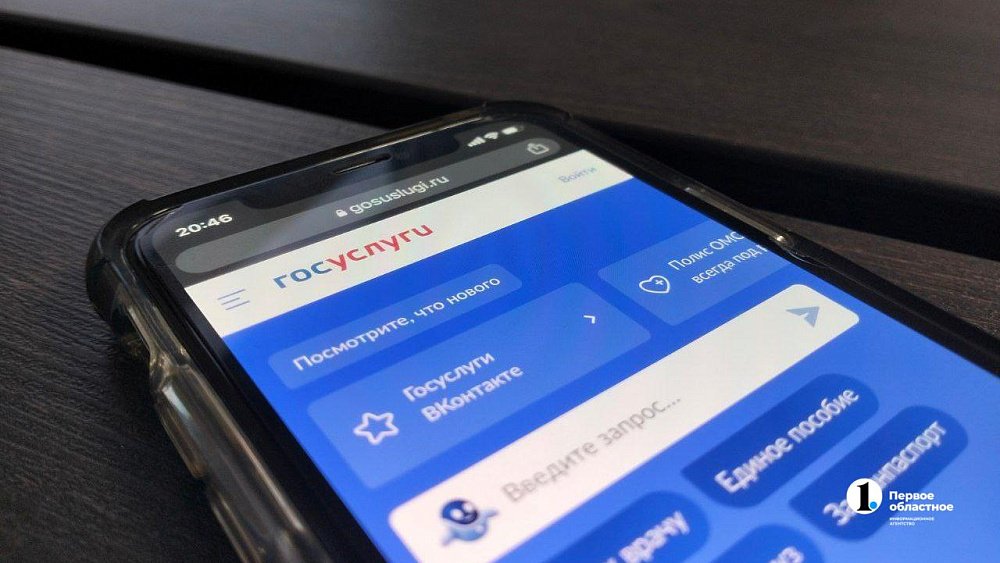 Челябинцы могут записать детей в первый класс не по прописке на портале «Госуслуги»