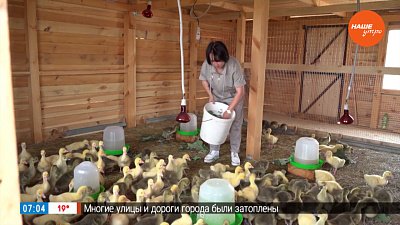 Гастротур в Султаново в рубрике «Из города в деревню»